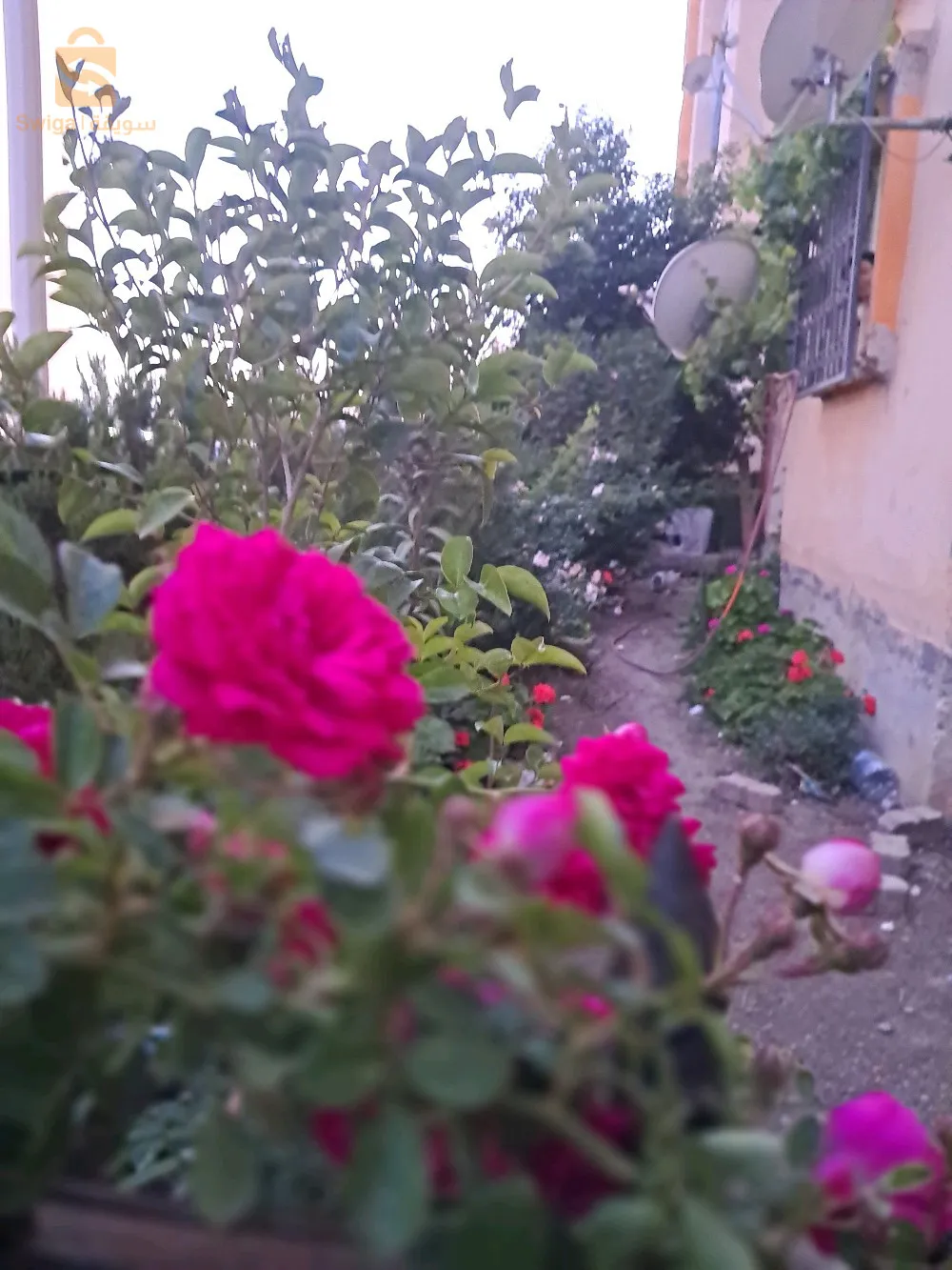 شقة للبيع طابق أرضي0556971012