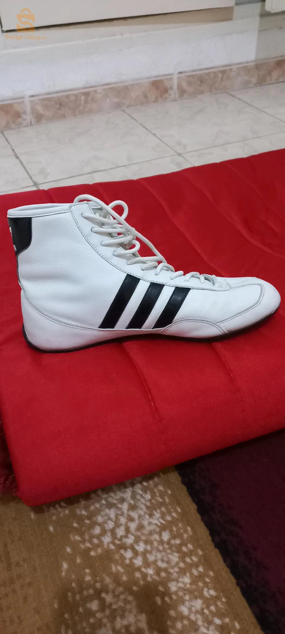 براقي. الجزائر