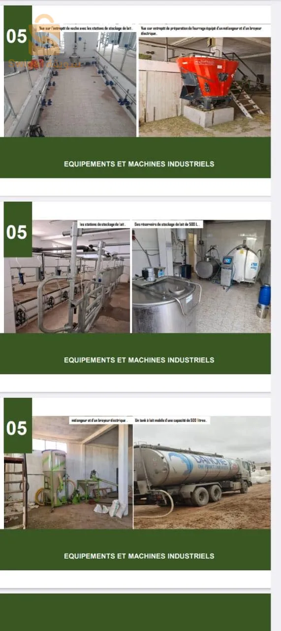 Ferme de production de lait