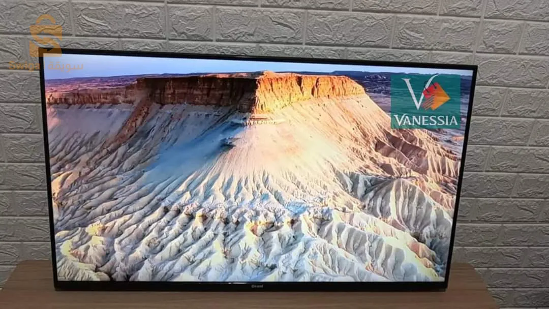 Télévision marque géant 43p