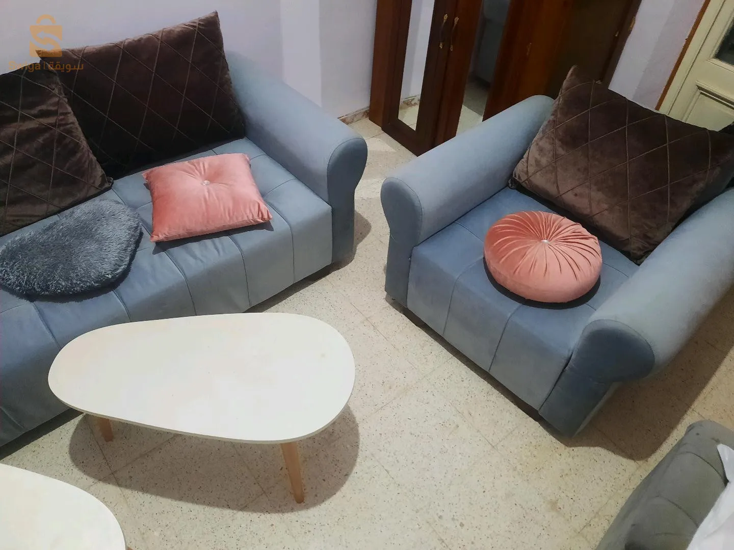 salon avec 2 tables basses