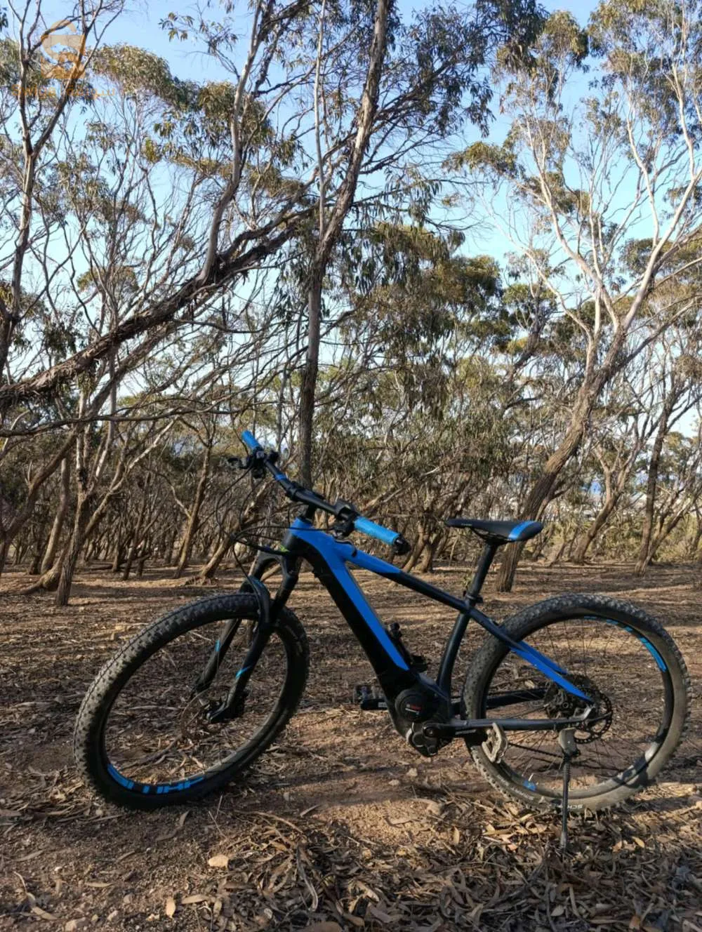 cube réaction hybride SL 500