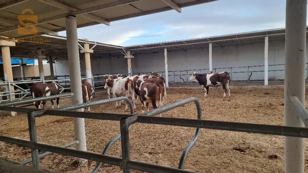 Ferme de production de lait