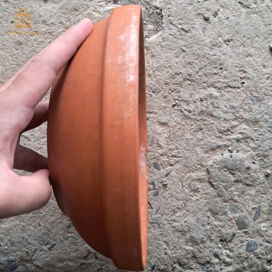 طاجين لي بيضو فيه لحمام