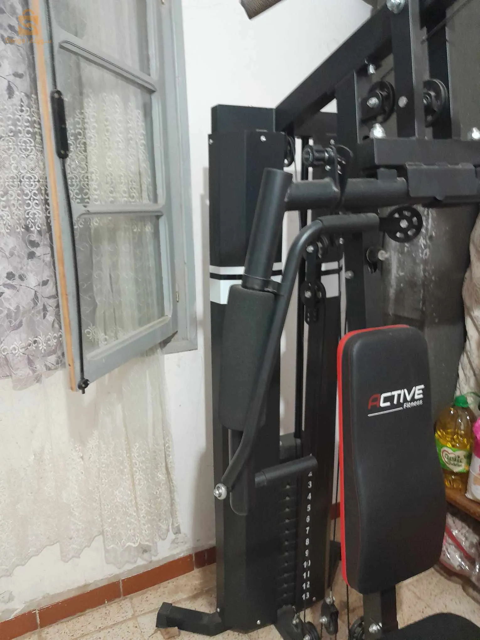 سعيدة الرباحية