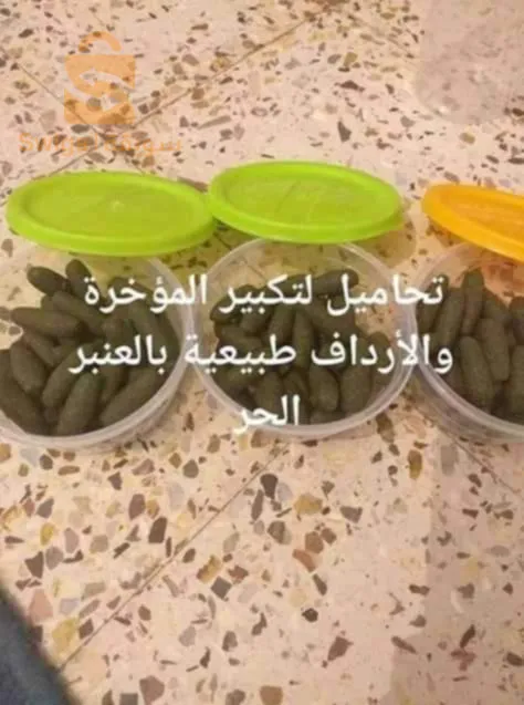 بشار