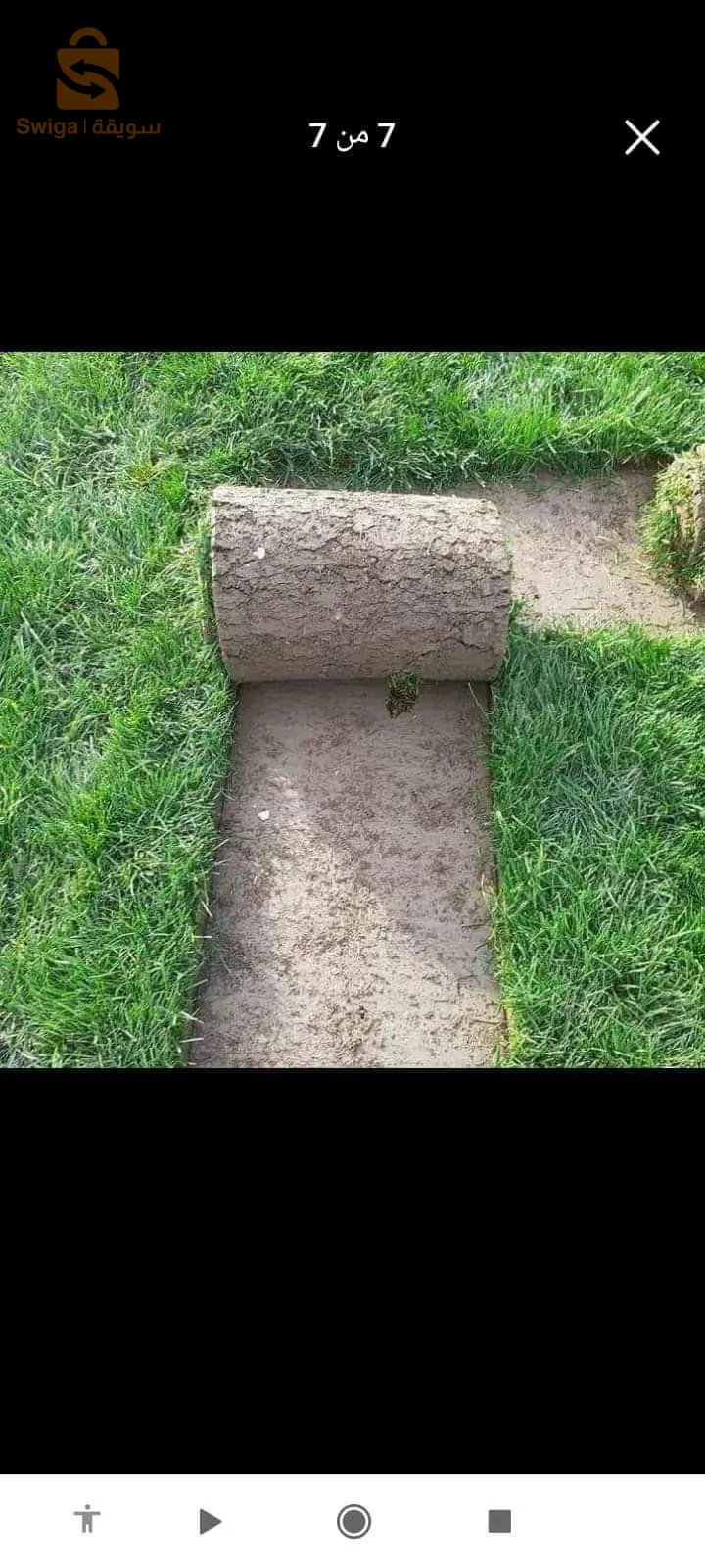 غرس العشب طبيعي وتنضيف الحدائق في المنازل وغيرها