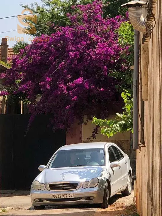 مليحة