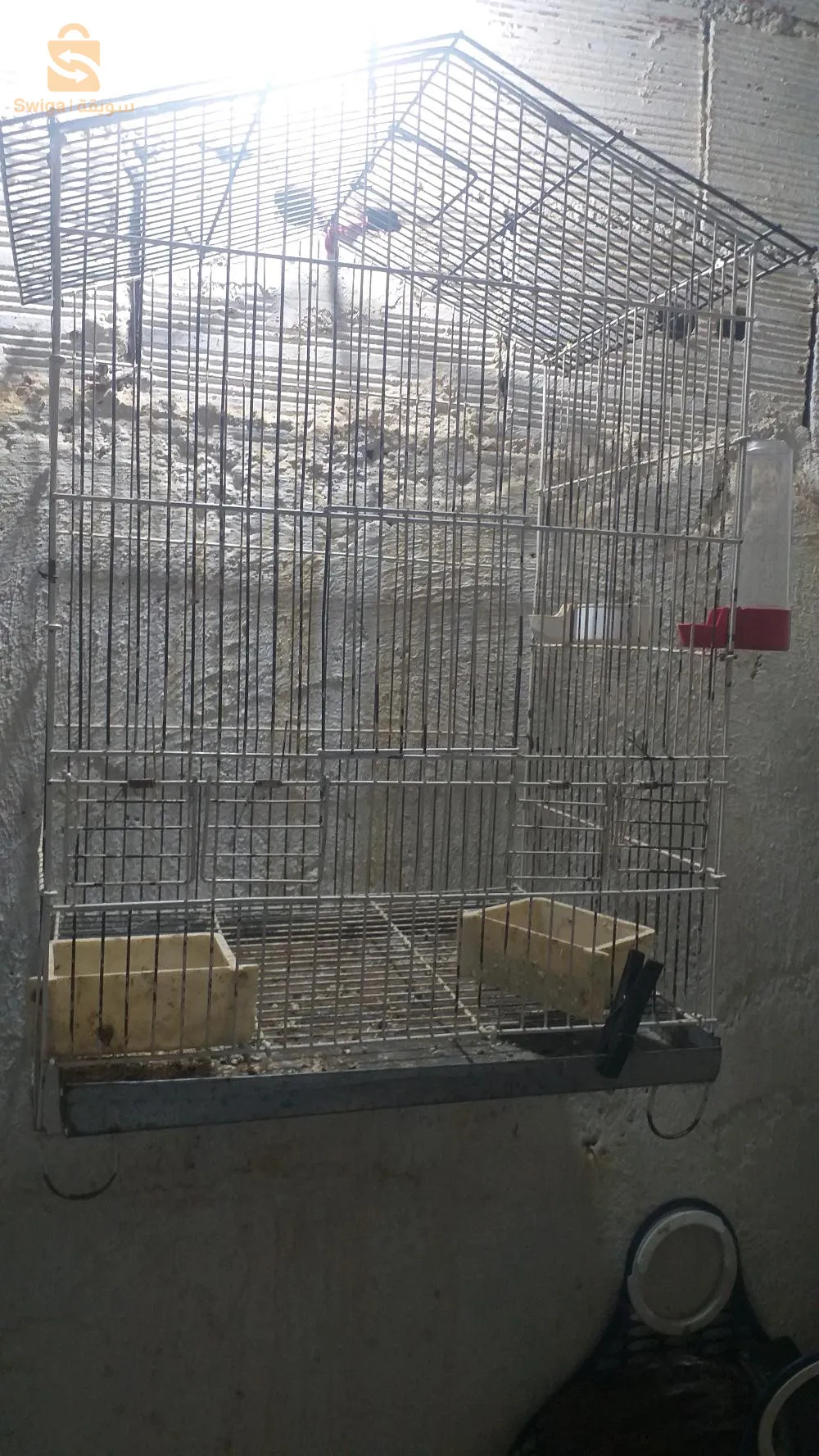 ليكاج 2 ڨارفانيزي مزالهم جدد و الكبيرة كامل ماهيش ڨارفانيزي ولاد فايت الجزائر 0779289095