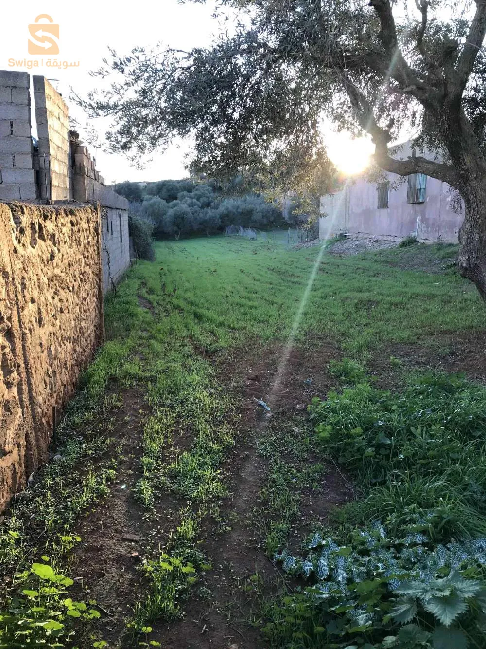 ارض للبيع صالحة للبناء