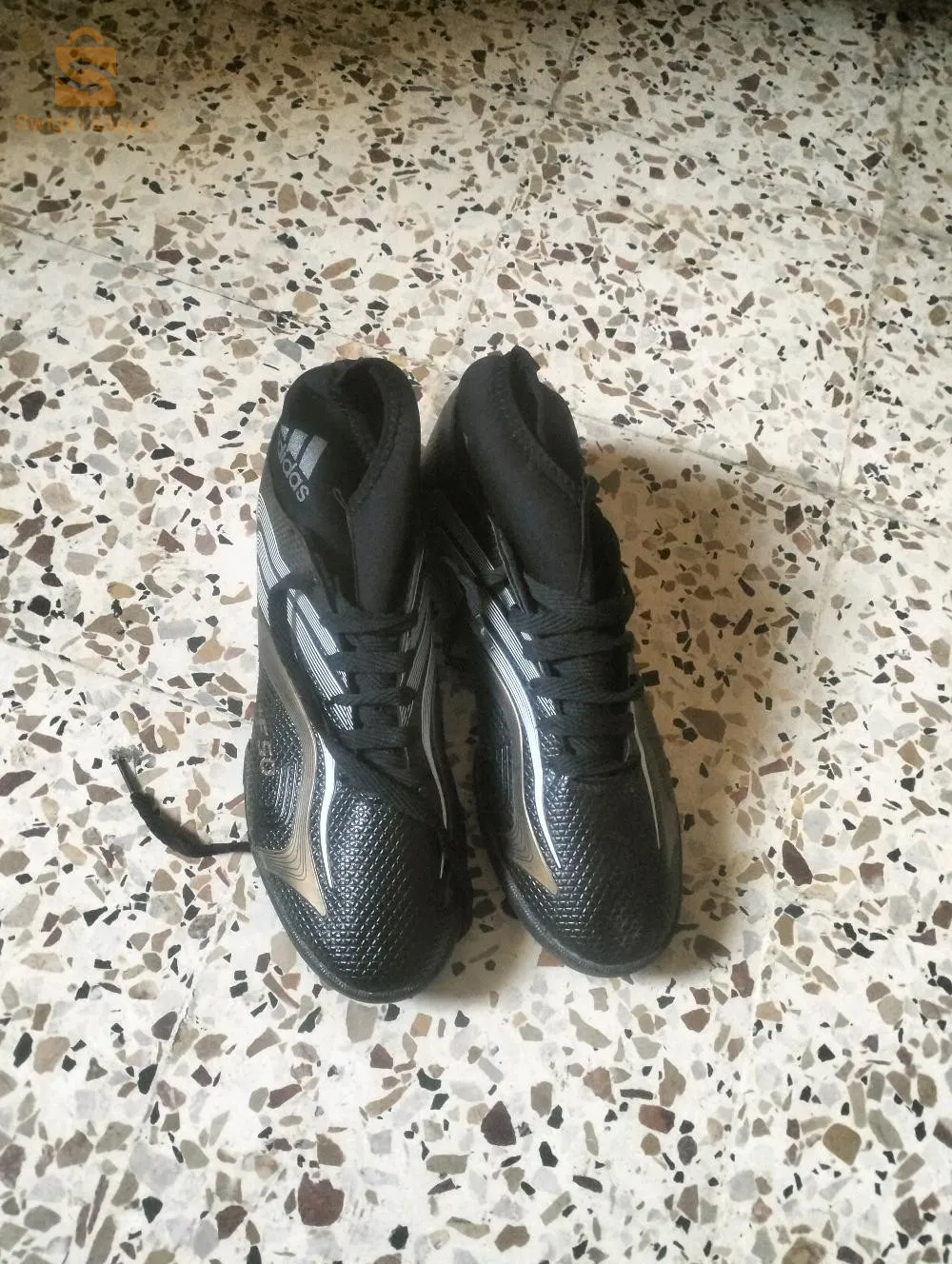 الجزائر رويبة