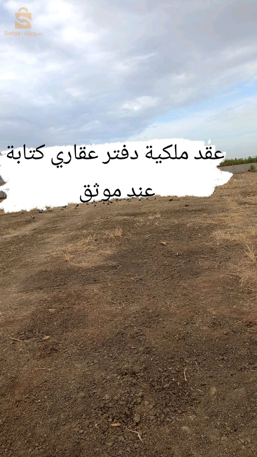 بيع عقار حمادي ولاد براهيم