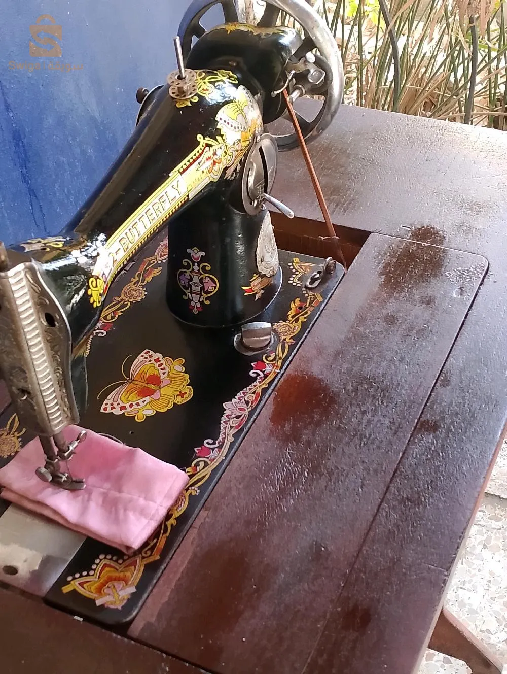 براقي الجزائر