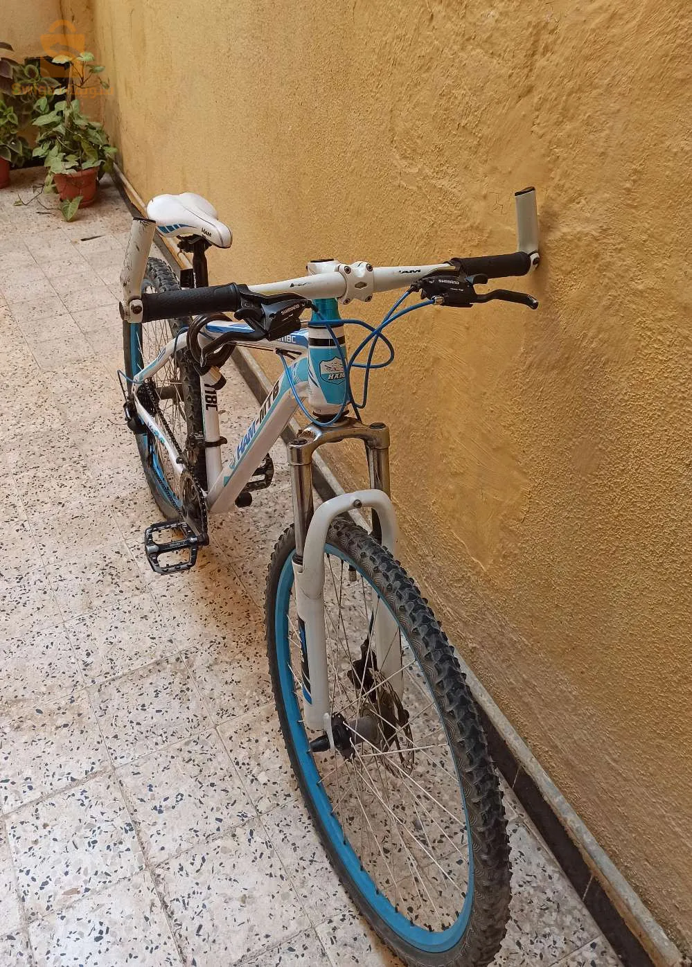 دراجة هوائية من نوع HAM__MTB