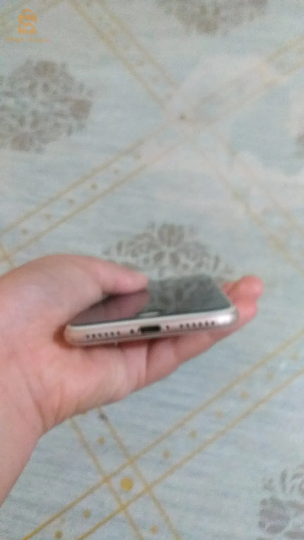 عين دفلى