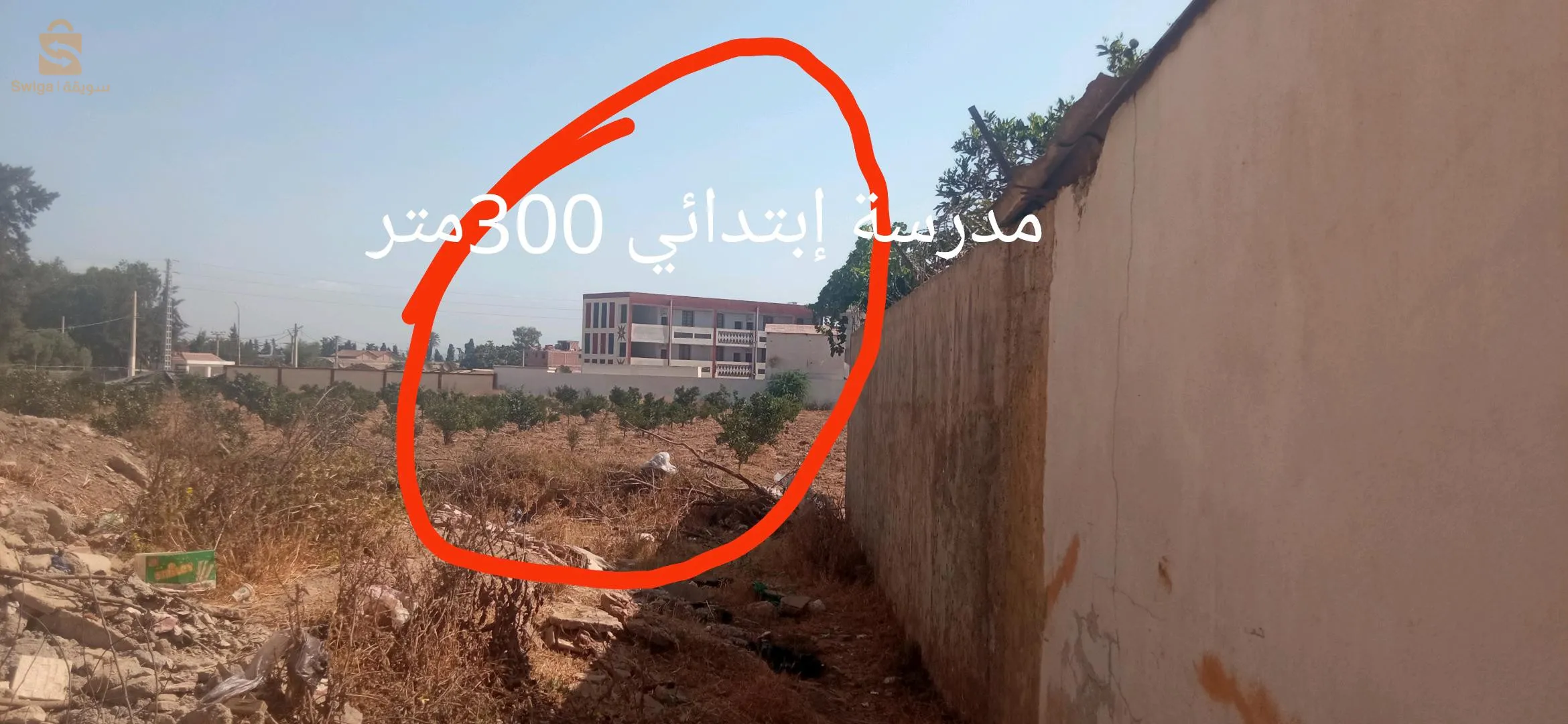 بيع أرض في البليدة بني مرادحي كريتلي