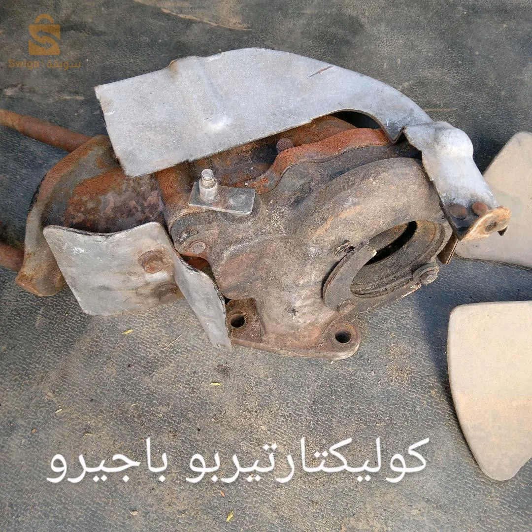 مستغانم