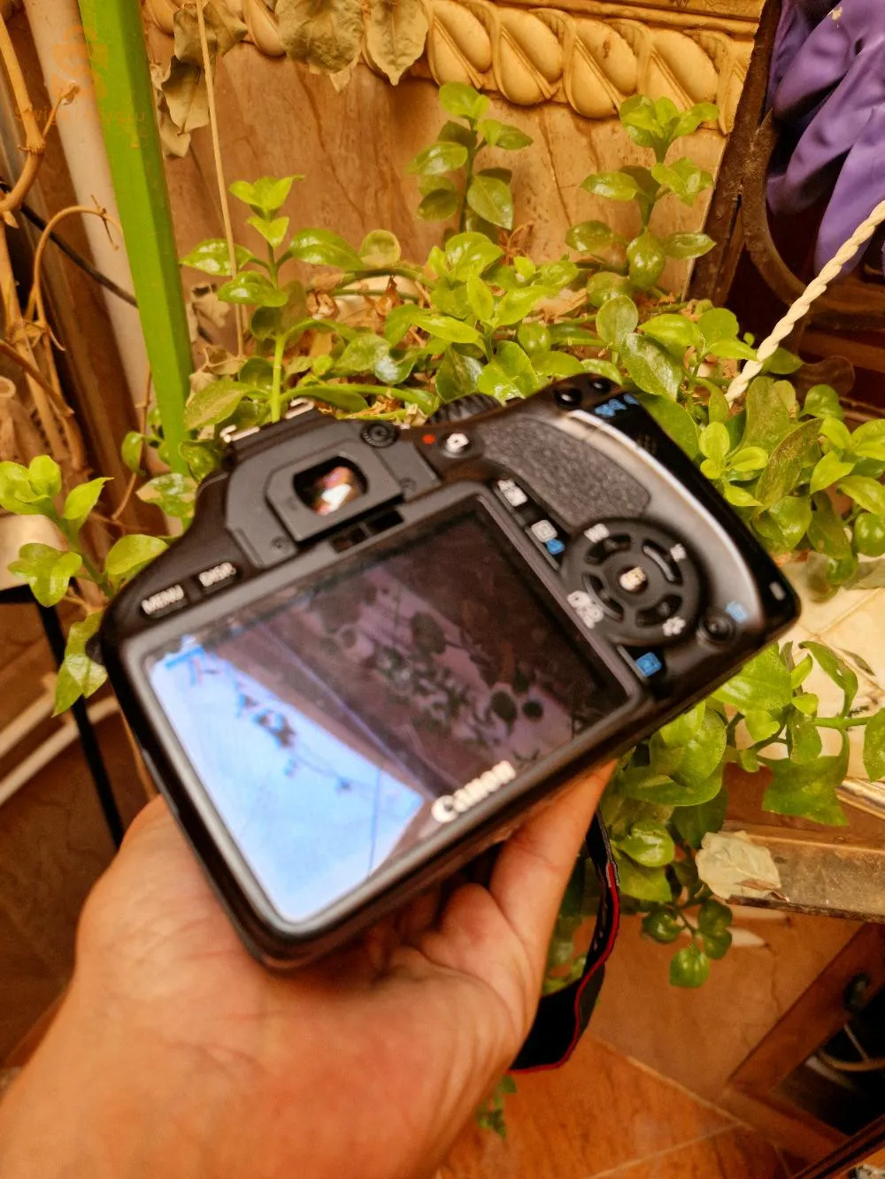 canon 550d