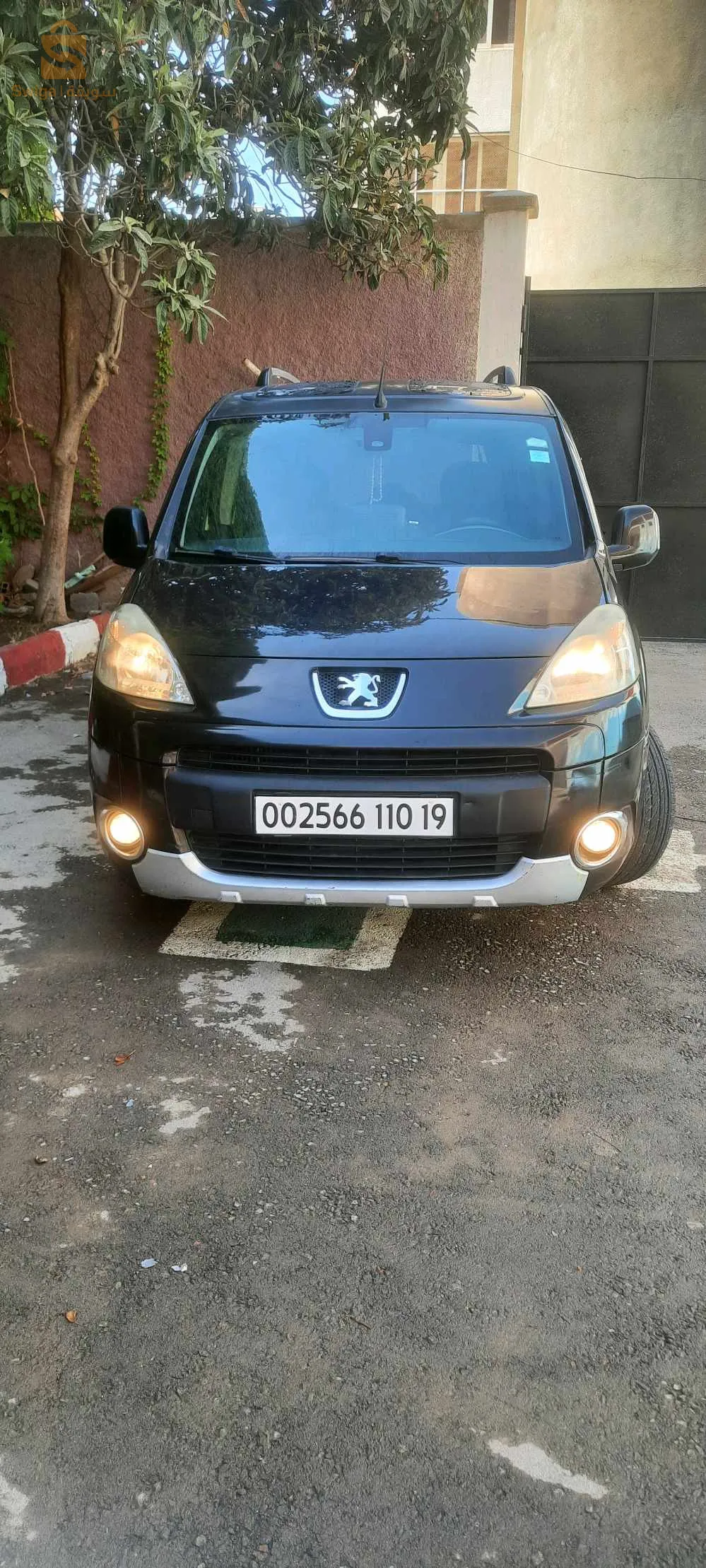 سطيف