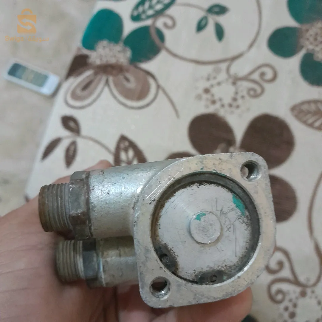 فران سوكور