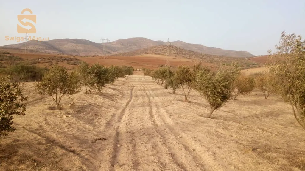 ارض فلاحية صالحة للبناء و الزراعة او الترميم بدفتر عقاري