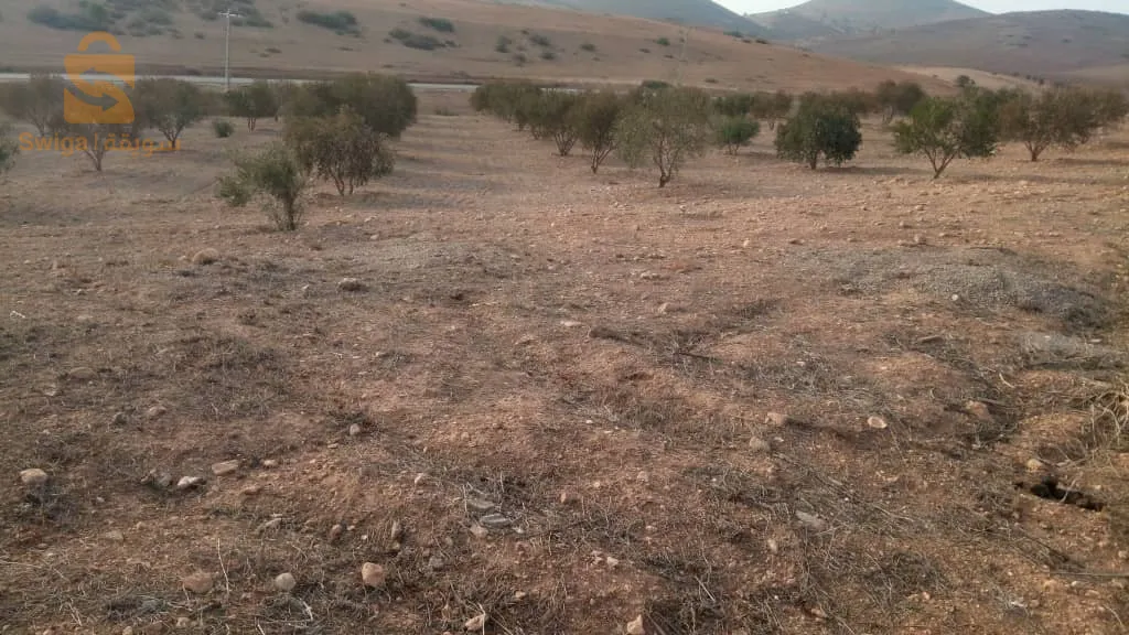 ارض فلاحية صالحة للبناء و الزراعة او الترميم بدفتر عقاري