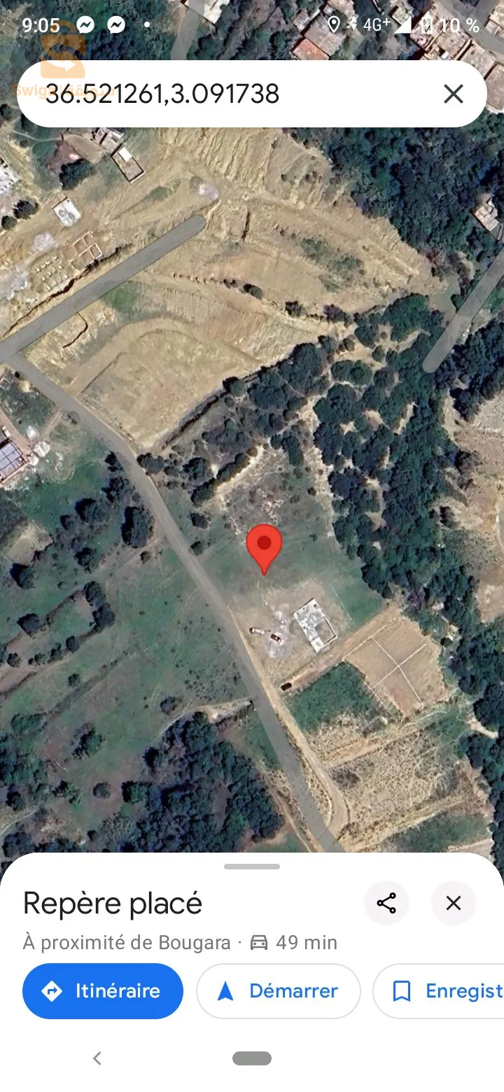 ميراكشي بوقرة البليدة