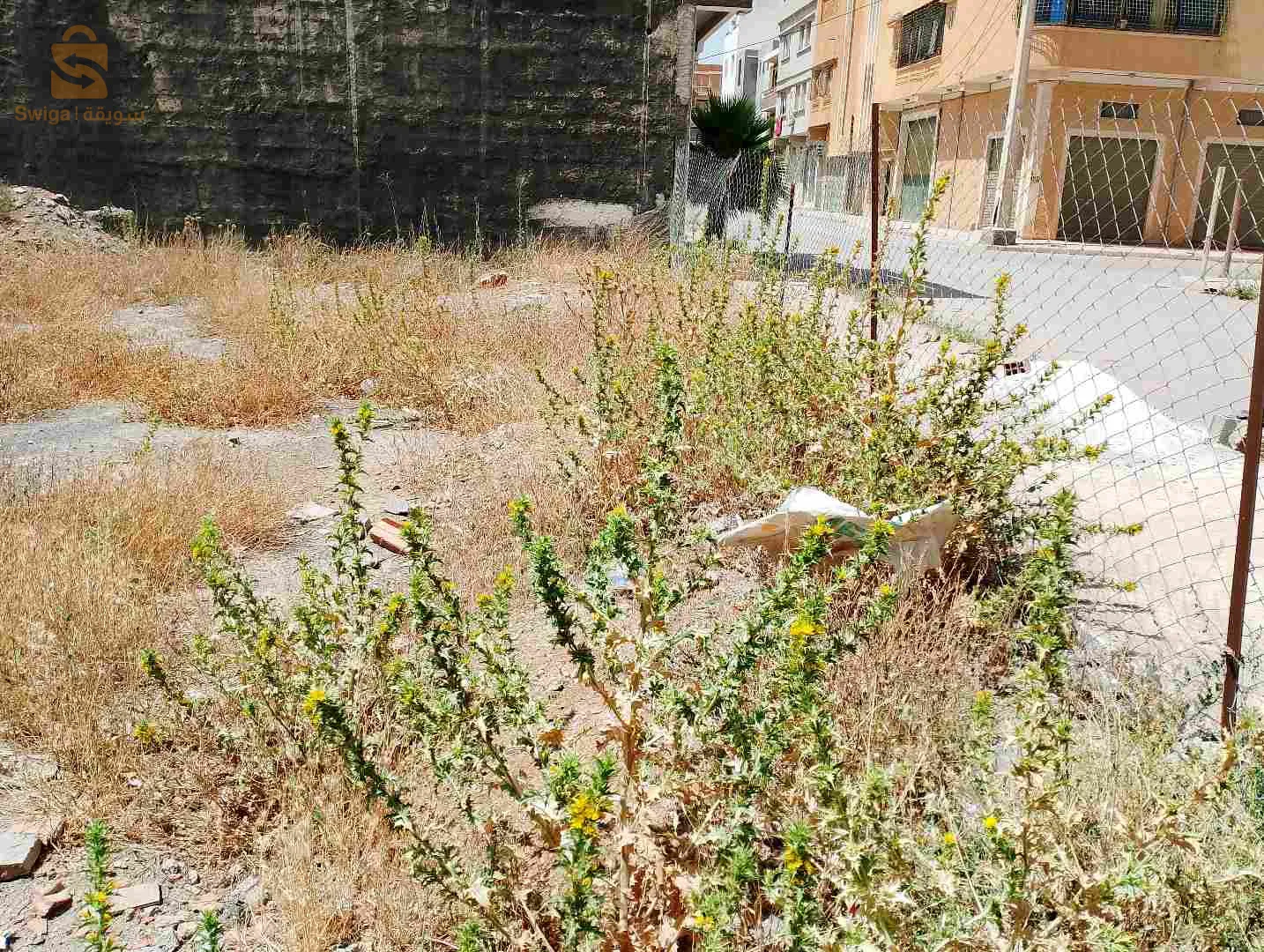 قطعة ارض حي الرياض 3 باتنة