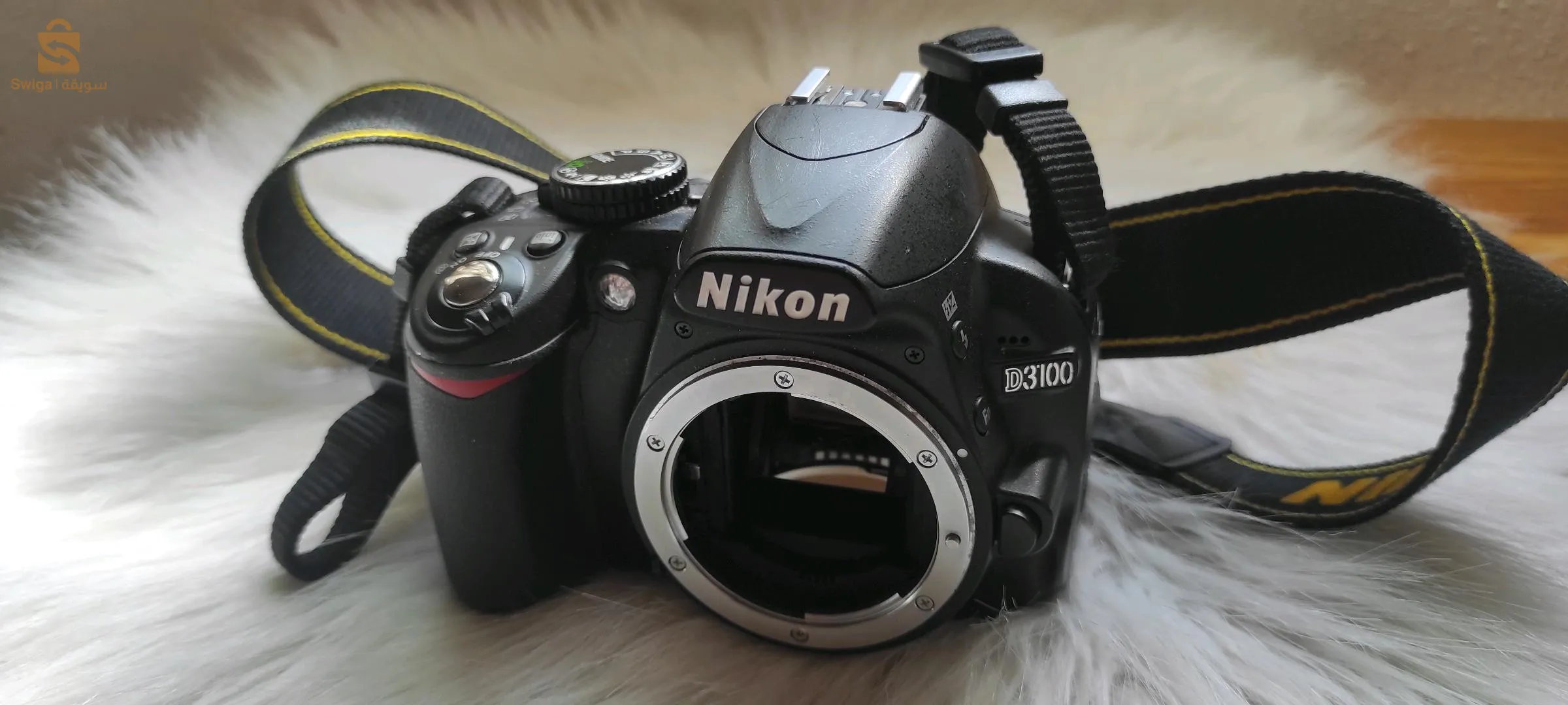 canon D3100