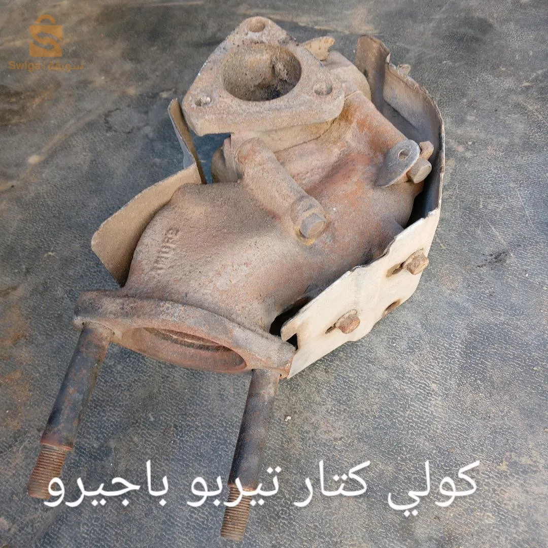مستغانم
