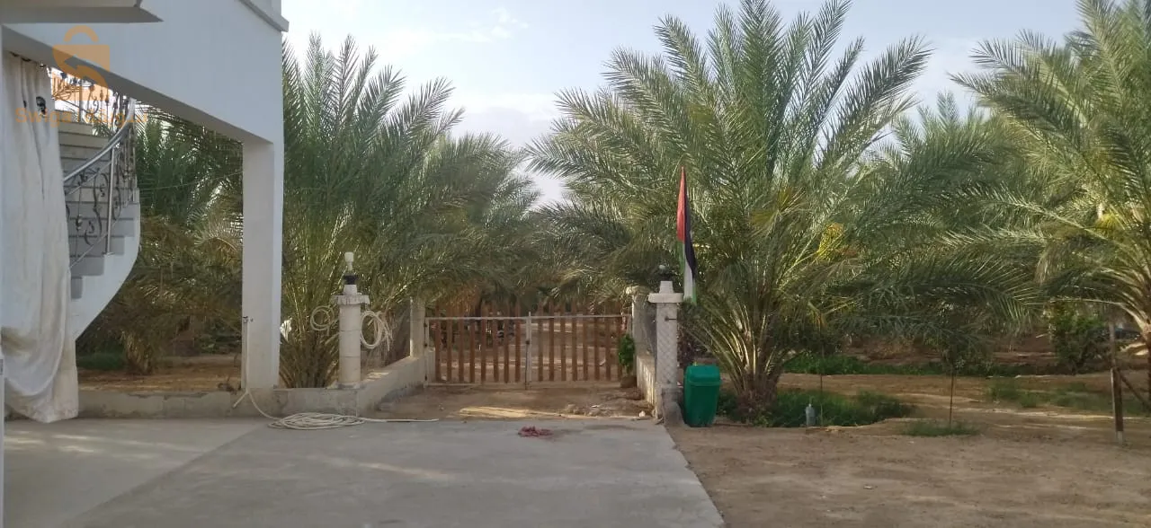 ولاية بسكرة بلدية الحاجب طريق أوماش