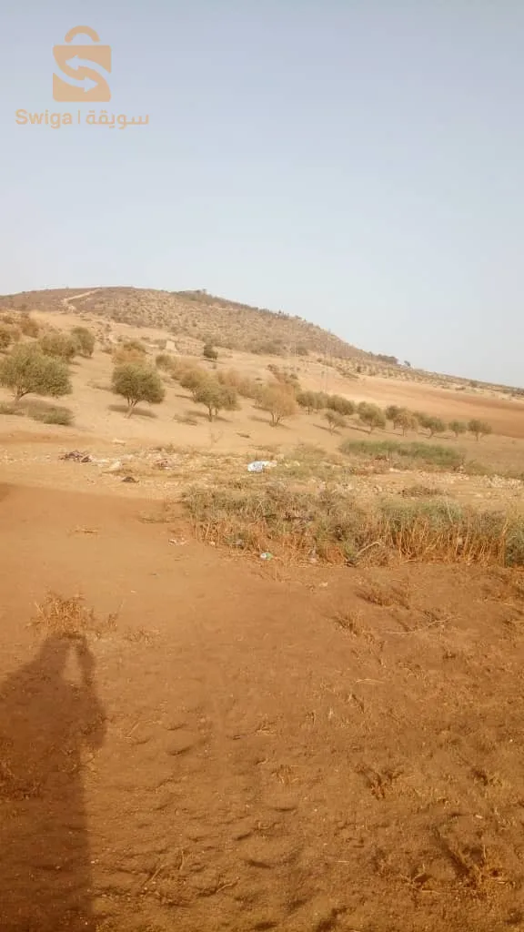 ارض فلاحية صالحة للبناء و الزراعة او الترميم بدفتر عقاري