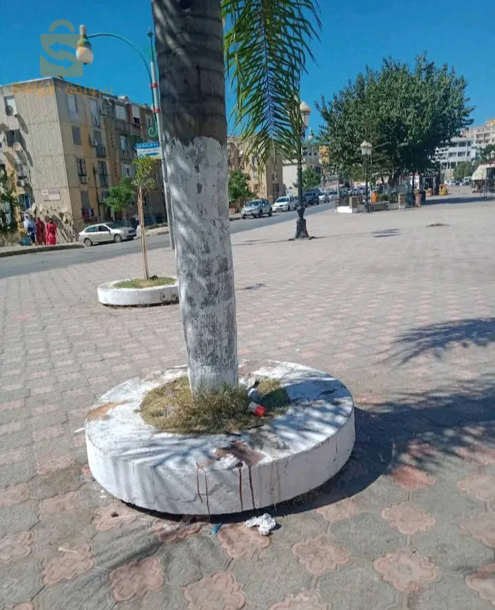 منزل للبيع اف3 البوني عنابة