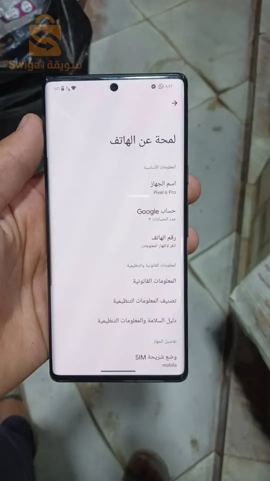 عين دفلى