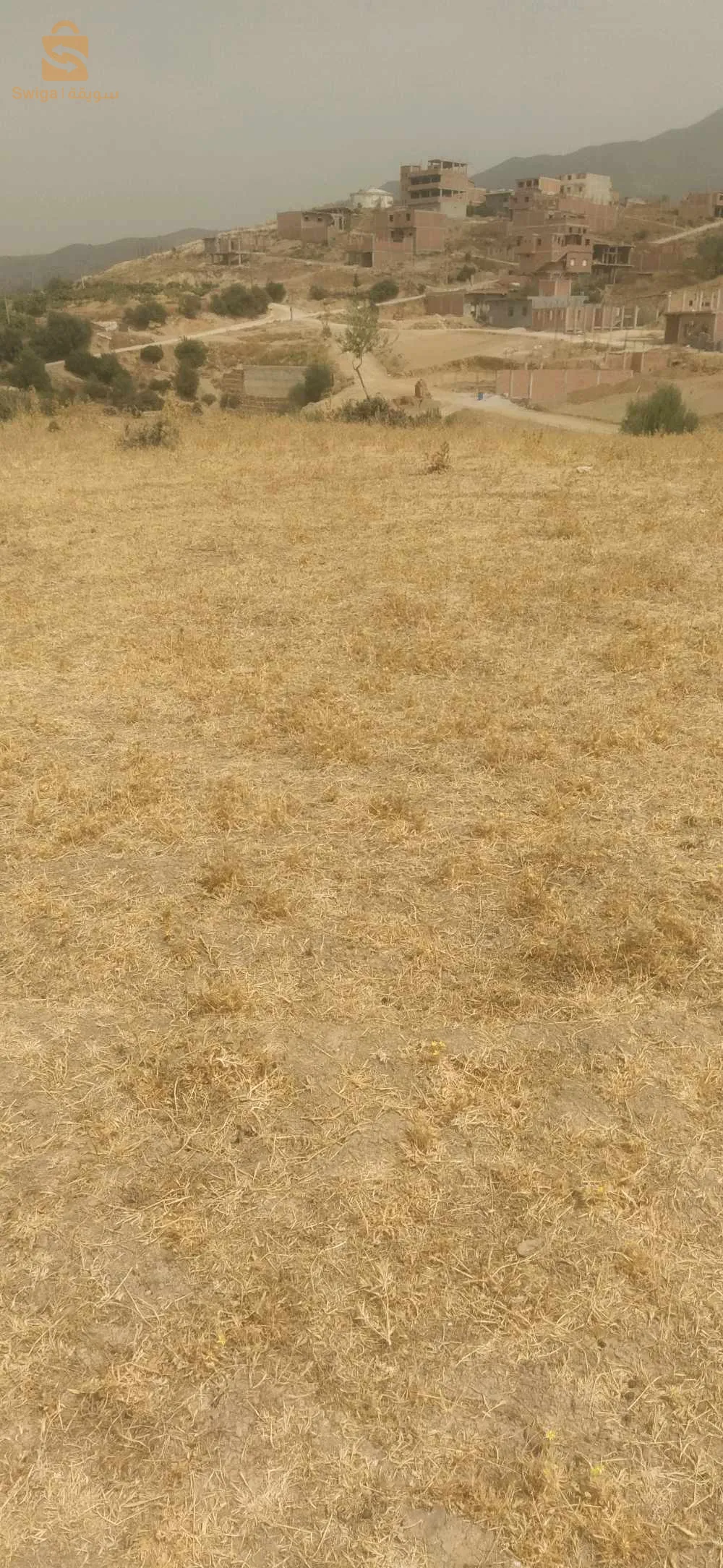 ميراكشي بوقرة البليدة