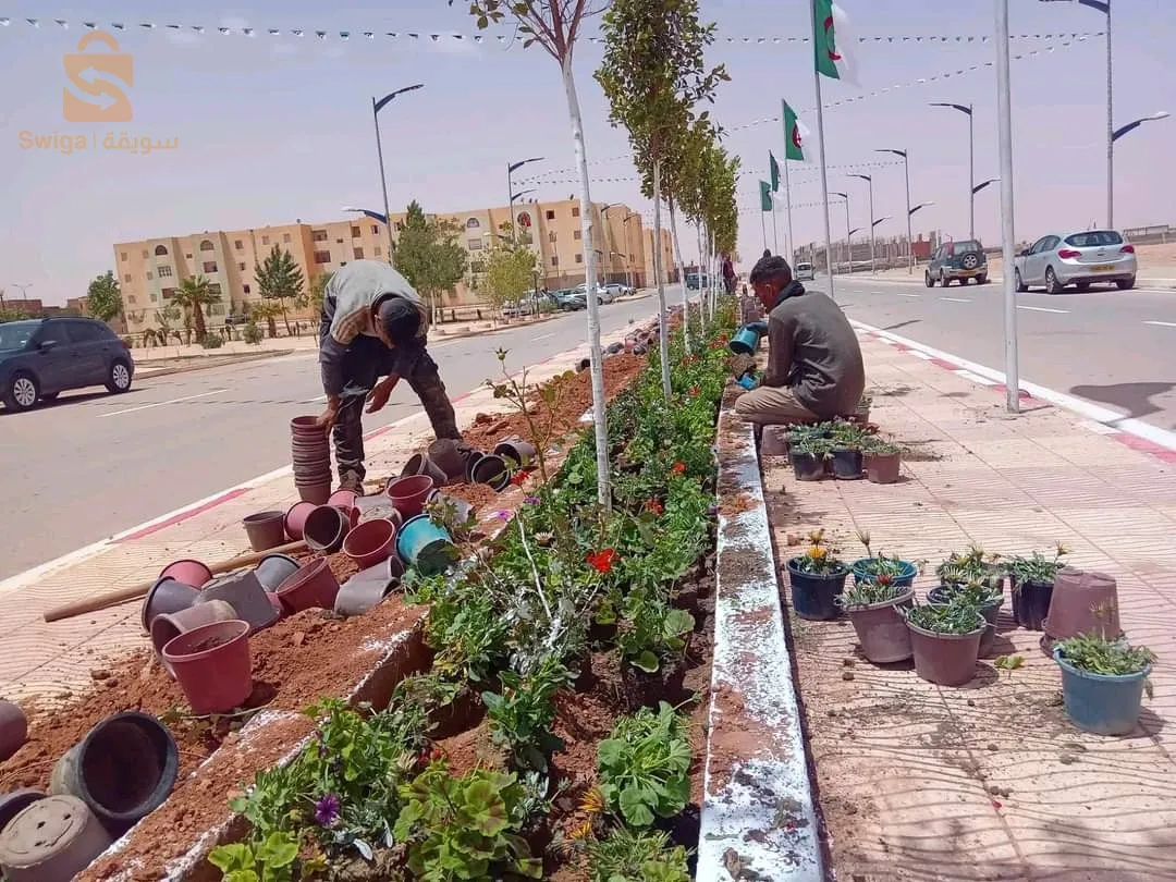 اولاد رحمون