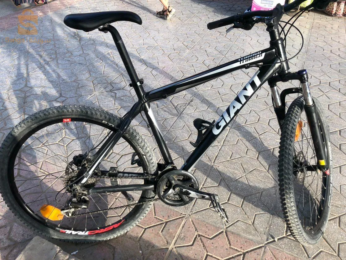 الحروش سكيكدة