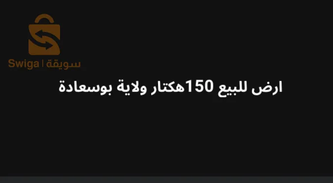 بلدية عين الريش