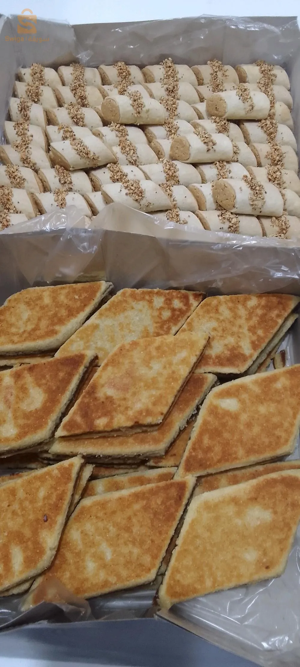 Massinissa elkhroub Constantine