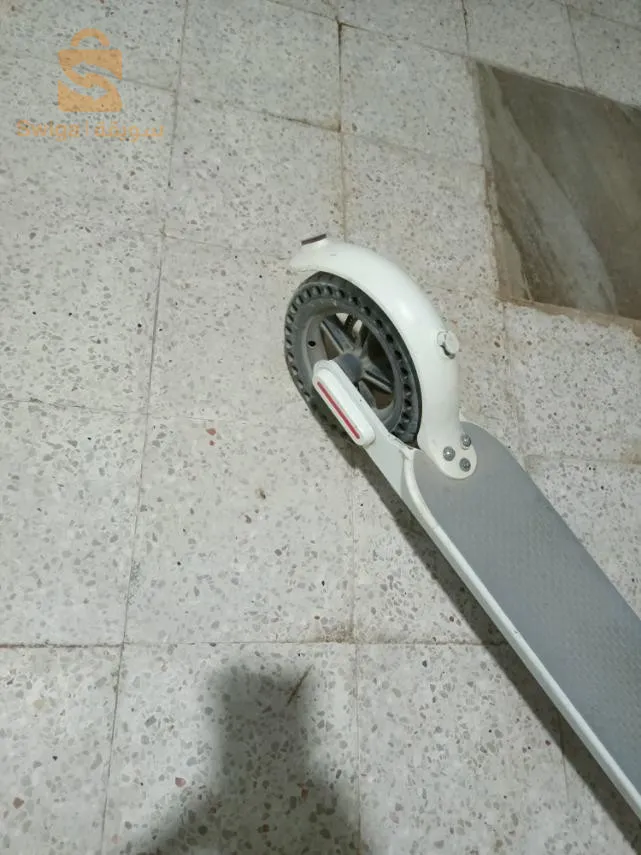 ابن باديس