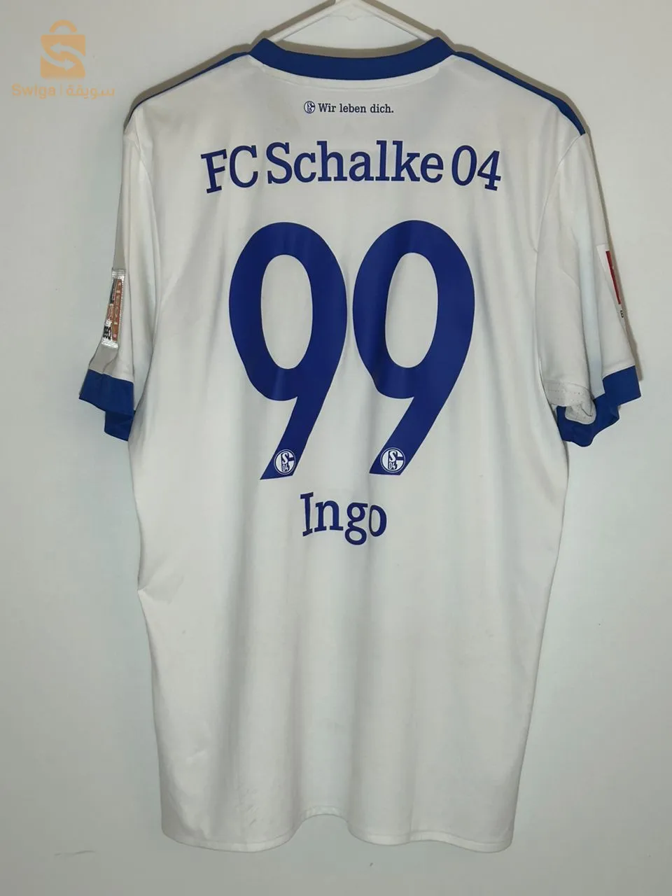 Schalke 2016/2017