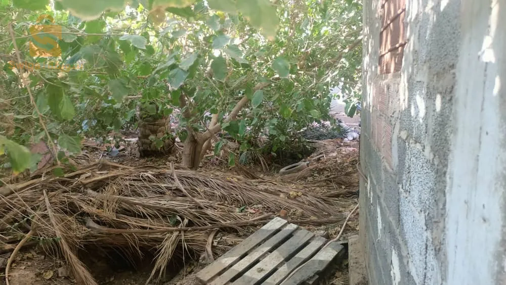 Il se rendit à Bab al-Fath avec l'entrée