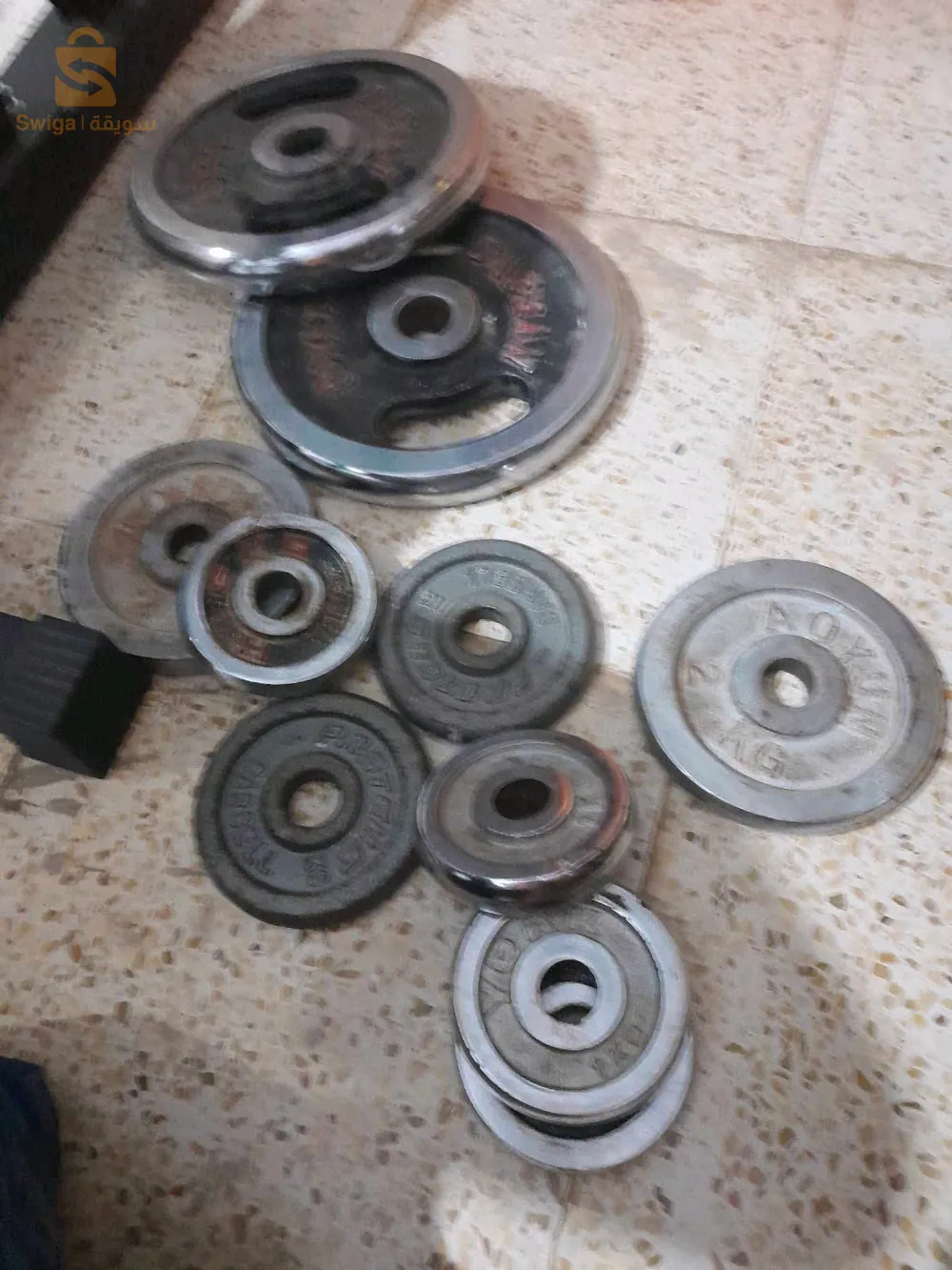 سعيدة الرباحية