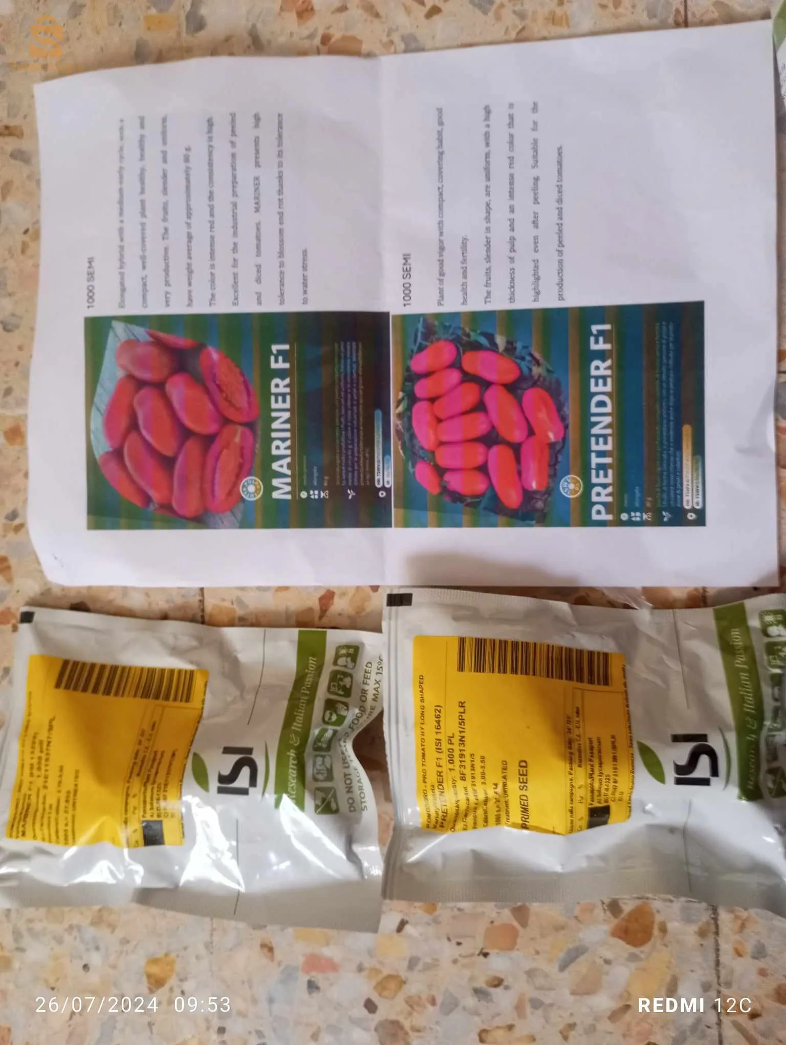 بذور طماطم عالية الجودة و ذات مردود وفير و بشتى الانواع