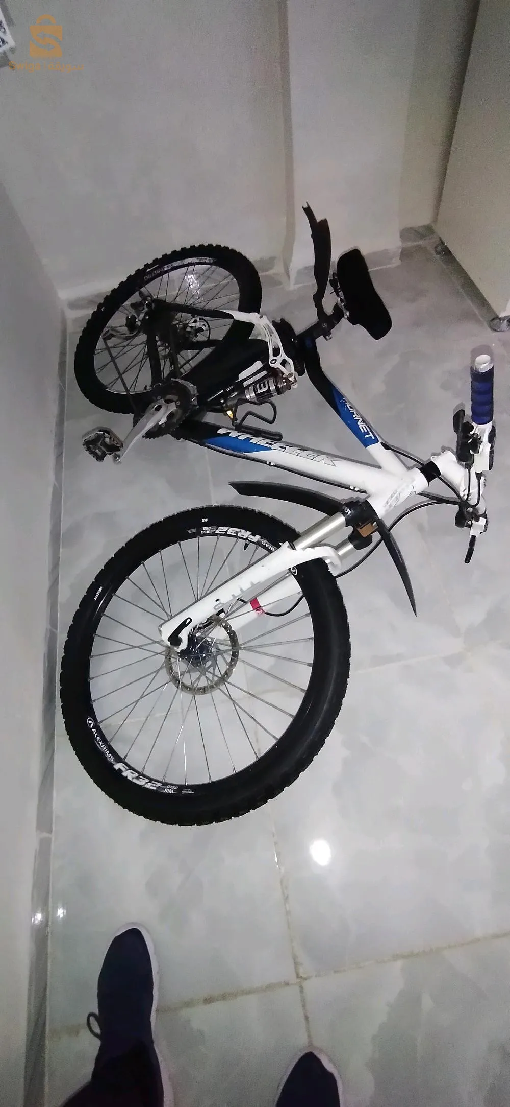 دراجة جبلية ويلر