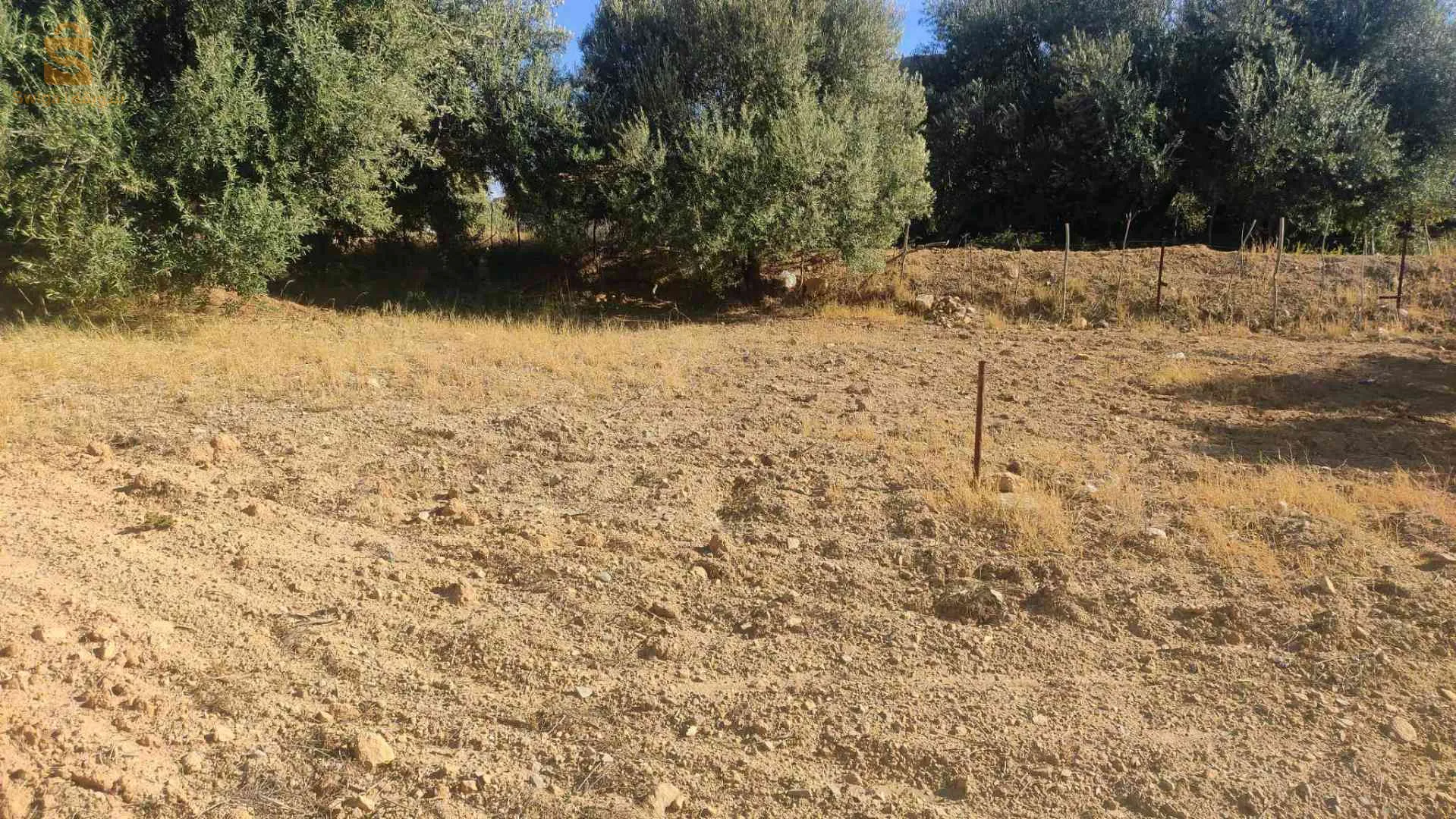 قطعة ارض للبيع الوثائق عقد ملكية فيها الغاز الكهرباء الماء منطقة سكانية افتيس بوعزيز بلدية بوجليل مهتم يتفضل 0558464955