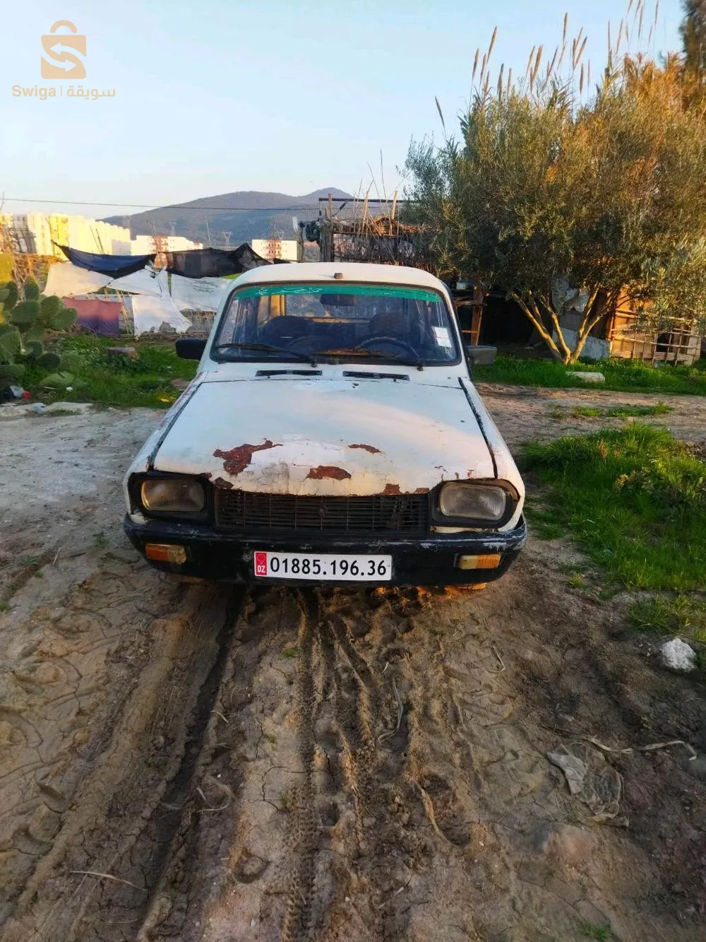 dacia r12