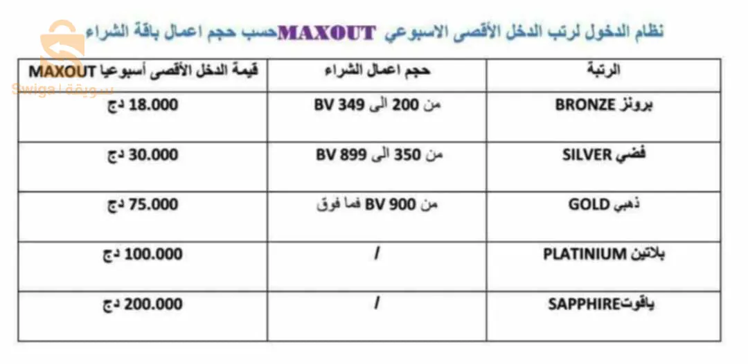 New Vision International Platform