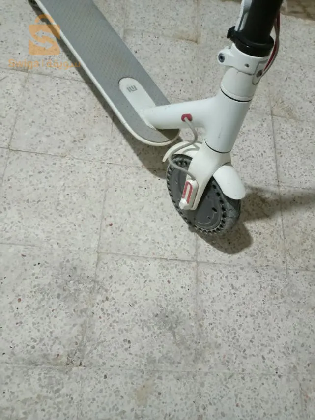 ابن باديس