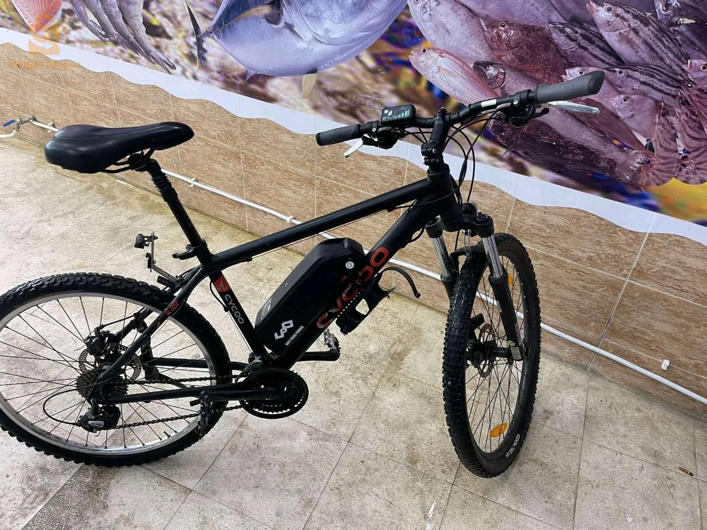 نهج زيدوني عمارة عين البيضاء